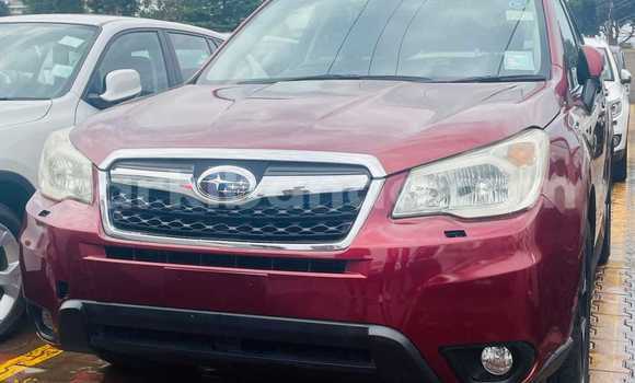 Gura Yakoze Subaru Forester Red Imodoka i Kampala mu Uganda Gura Yakoze Subaru Forester Red Imodoka i Kampala mu Uganda