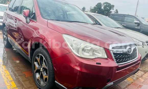 Gura Yakoze Subaru Forester Red Imodoka i Kampala mu Uganda Gura Yakoze Subaru Forester Red Imodoka i Kampala mu Uganda