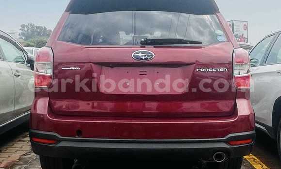 Gura Yakoze Subaru Forester Red Imodoka i Kampala mu Uganda Gura Yakoze Subaru Forester Red Imodoka i Kampala mu Uganda