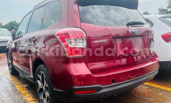 Gura Yakoze Subaru Forester Red Imodoka i Kampala mu Uganda Gura Yakoze Subaru Forester Red Imodoka i Kampala mu Uganda