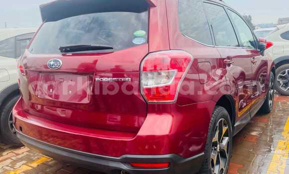 Gura Yakoze Subaru Forester Red Imodoka i Kampala mu Uganda Gura Yakoze Subaru Forester Red Imodoka i Kampala mu Uganda