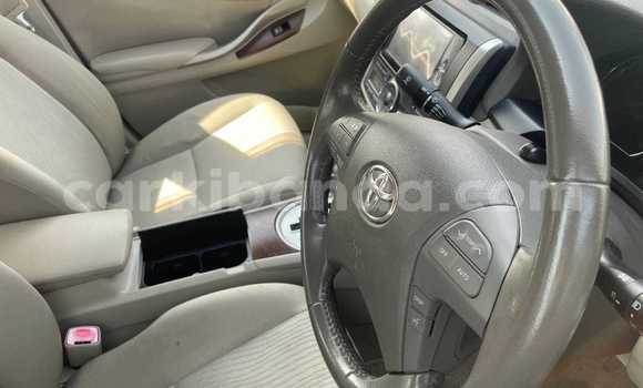 Buy Used Toyota Premio White Car in Kampala in Uganda Buy Used Toyota Premio White Car in Kampala in Uganda