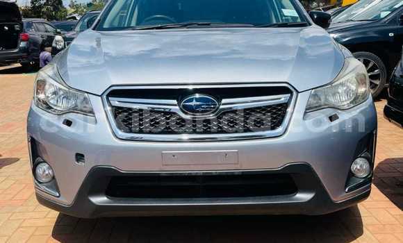 Buy Used Subaru XV Silver Car in Kampala in Uganda