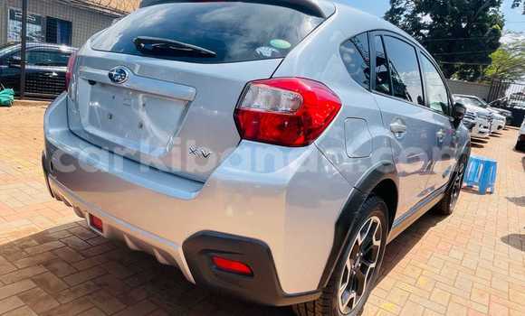 Gura Yakoze Subaru XV Silver Imodoka i Kampala mu Uganda Gura Yakoze Subaru XV Silver Imodoka i Kampala mu Uganda