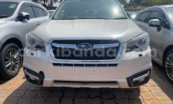 Buy Used Subaru Forester White Car in Kampala in Uganda