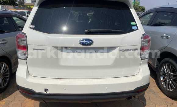 Gura Yakoze Subaru Forester White Imodoka i Kampala mu Uganda Gura Yakoze Subaru Forester White Imodoka i Kampala mu Uganda