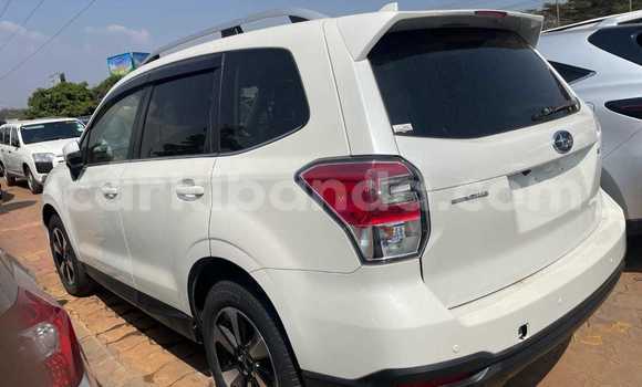 Gura Yakoze Subaru Forester White Imodoka i Kampala mu Uganda Gura Yakoze Subaru Forester White Imodoka i Kampala mu Uganda