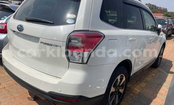 Gura Yakoze Subaru Forester White Imodoka i Kampala mu Uganda Gura Yakoze Subaru Forester White Imodoka i Kampala mu Uganda
