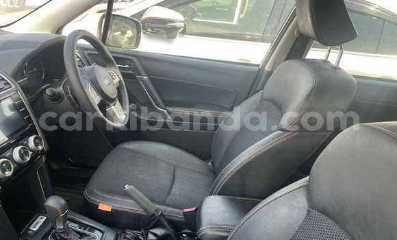 Gura Yakoze Subaru Forester White Imodoka i Kampala mu Uganda Gura Yakoze Subaru Forester White Imodoka i Kampala mu Uganda