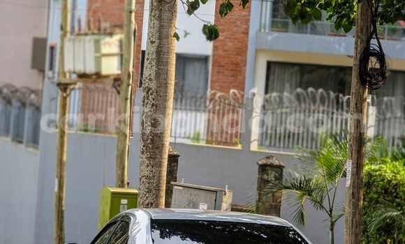 Nunua Ilio tumika Toyota Mark X Fedha Gari ndani ya Kampala nchini Uganda Nunua Ilio tumika Toyota Mark X Fedha Gari ndani ya Kampala nchini Uganda