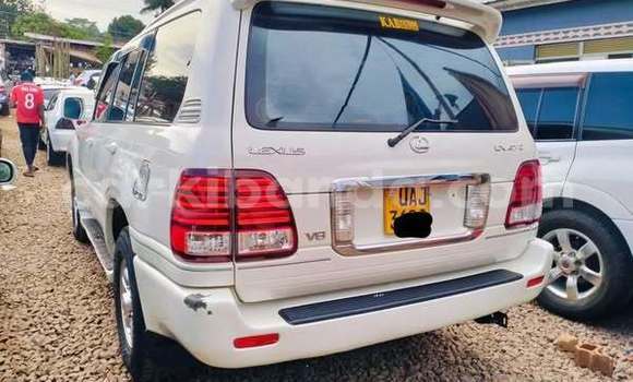 Acheter Occasion Voiture Toyota Land Cruiser Autre à Kampala, Ouganda