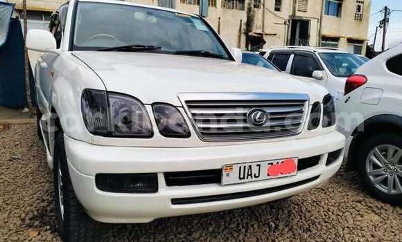 Gura Yakoze Toyota Land Cruiser Other Imodoka i Kampala mu Uganda Gura Yakoze Toyota Land Cruiser Other Imodoka i Kampala mu Uganda