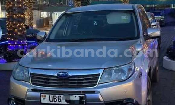 Acheter Occasion Voiture Subaru Forester Autre à Kampala, Ouganda