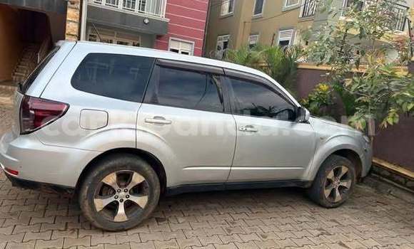 Nunua Ilio tumika Subaru Forester Nyingine Gari ndani ya Kampala nchini Uganda Nunua Ilio tumika Subaru Forester Nyingine Gari ndani ya Kampala nchini Uganda