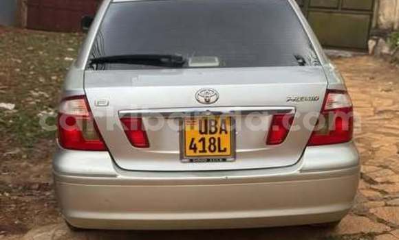 Nunua Ilio tumika Toyota Premio Nyingine Gari ndani ya Kampala nchini Uganda Nunua Ilio tumika Toyota Premio Nyingine Gari ndani ya Kampala nchini Uganda