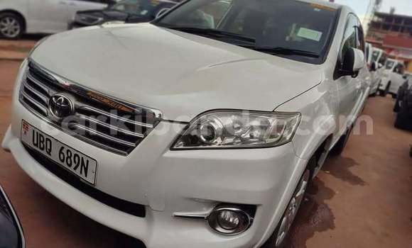 Buy Used Toyota Vanguard Other Car in Kampala in Uganda Buy Used Toyota Vanguard Other Car in Kampala in Uganda