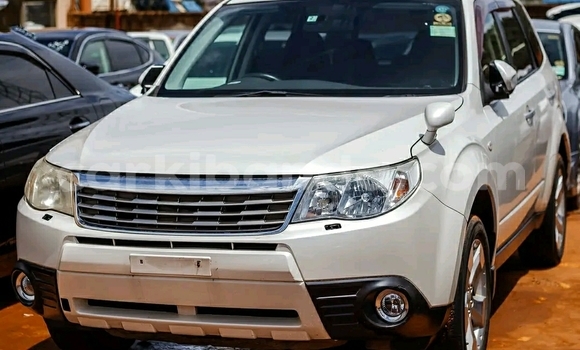 Acheter Occasion Voiture Subaru Forester Blanc à Kampala, Ouganda