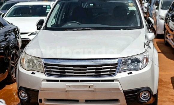 Buy Used Subaru Forester White Car in Kampala in Uganda Buy Used Subaru Forester White Car in Kampala in Uganda