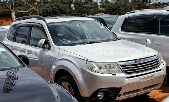 Buy Used Subaru Forester White Car in Kampala in Uganda Buy Used Subaru Forester White Car in Kampala in Uganda