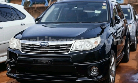 Buy Used Subaru Forester Black Car in Kampala in Uganda Buy Used Subaru Forester Black Car in Kampala in Uganda