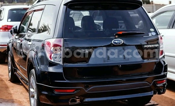 Buy Used Subaru Forester Black Car in Kampala in Uganda Buy Used Subaru Forester Black Car in Kampala in Uganda
