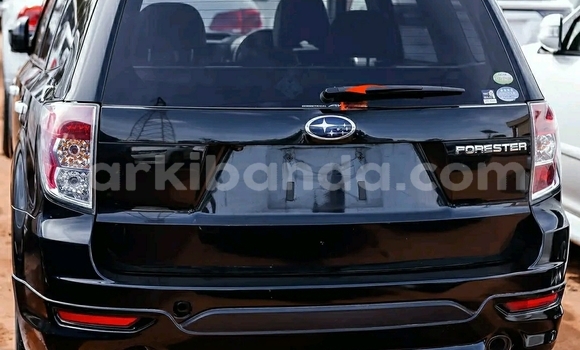 Buy Used Subaru Forester Black Car in Kampala in Uganda Buy Used Subaru Forester Black Car in Kampala in Uganda