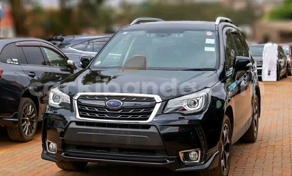 Nunua Ilio tumika Subaru Forester Nyeusi Gari ndani ya Kampala nchini Uganda Nunua Ilio tumika Subaru Forester Nyeusi Gari ndani ya Kampala nchini Uganda