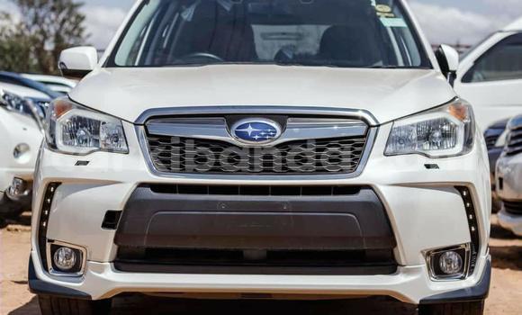Buy Used Subaru Forester White Car in Kampala in Uganda Buy Used Subaru Forester White Car in Kampala in Uganda