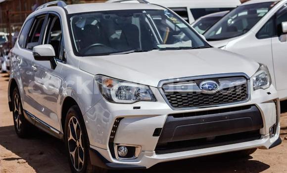 Buy Used Subaru Forester White Car in Kampala in Uganda Buy Used Subaru Forester White Car in Kampala in Uganda