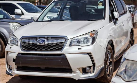 Buy Used Subaru Forester White Car in Kampala in Uganda Buy Used Subaru Forester White Car in Kampala in Uganda