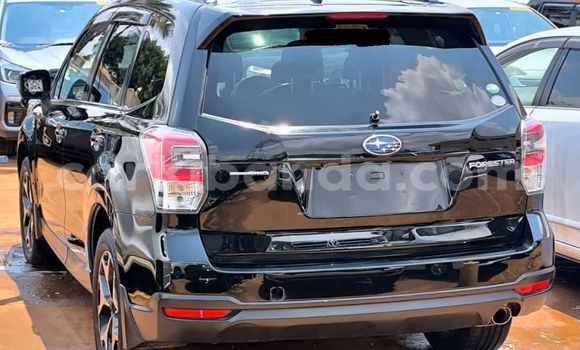 Buy Used Subaru Forester Black Car in Kampala in Uganda Buy Used Subaru Forester Black Car in Kampala in Uganda