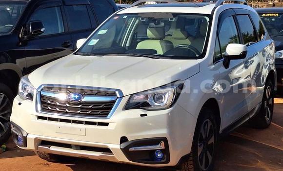 Buy Used Subaru Forester White Car in Kampala in Uganda Buy Used Subaru Forester White Car in Kampala in Uganda