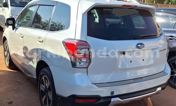 Buy Used Subaru Forester White Car in Kampala in Uganda Buy Used Subaru Forester White Car in Kampala in Uganda