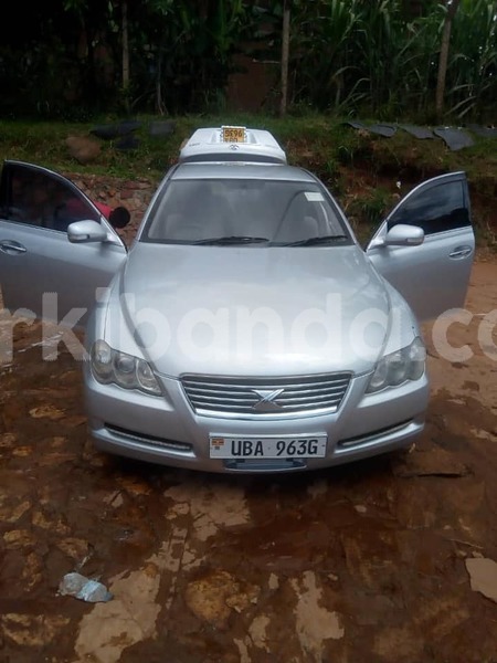 Big with watermark 50254834 266546470936038 1777509259542528000 n