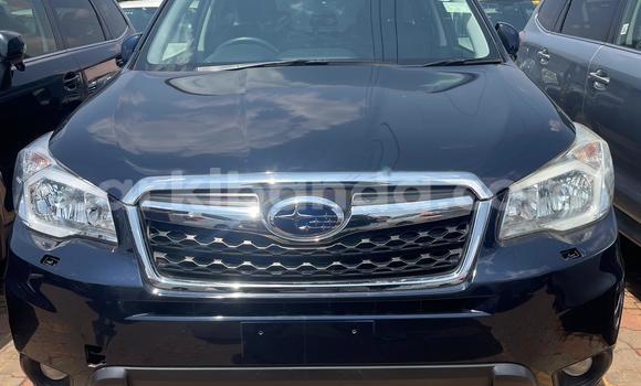 Buy Used Subaru Forester Blue Car in Kampala in Uganda Buy Used Subaru Forester Blue Car in Kampala in Uganda