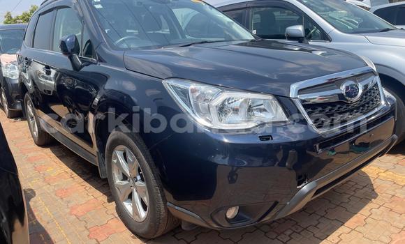 Gura Yakoze Subaru Forester Blue Imodoka i Kampala mu Uganda Gura Yakoze Subaru Forester Blue Imodoka i Kampala mu Uganda