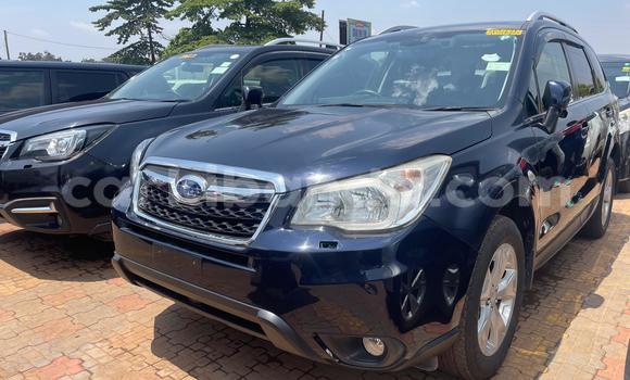 Gura Yakoze Subaru Forester Blue Imodoka i Kampala mu Uganda Gura Yakoze Subaru Forester Blue Imodoka i Kampala mu Uganda