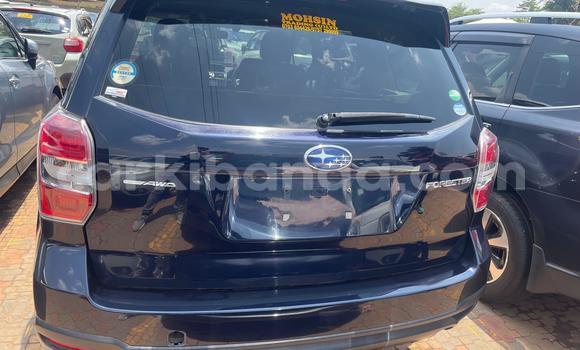 Gura Yakoze Subaru Forester Blue Imodoka i Kampala mu Uganda Gura Yakoze Subaru Forester Blue Imodoka i Kampala mu Uganda