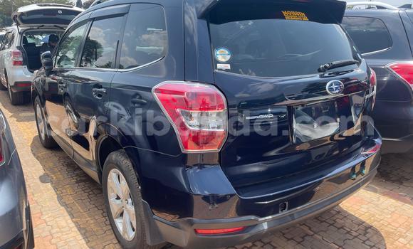 Gura Yakoze Subaru Forester Blue Imodoka i Kampala mu Uganda Gura Yakoze Subaru Forester Blue Imodoka i Kampala mu Uganda