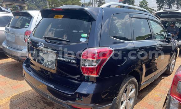 Gura Yakoze Subaru Forester Blue Imodoka i Kampala mu Uganda Gura Yakoze Subaru Forester Blue Imodoka i Kampala mu Uganda