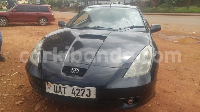 Big with watermark 50928423 266529077604444 7984194515063799808 n