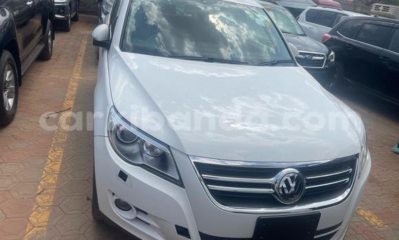 Buy Used Volkswagen Tiguan White Car in Kampala in Uganda