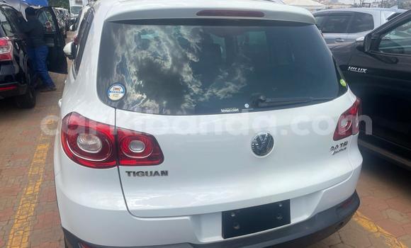 Gura Yakoze Volkswagen Tiguan White Imodoka i Kampala mu Uganda Gura Yakoze Volkswagen Tiguan White Imodoka i Kampala mu Uganda