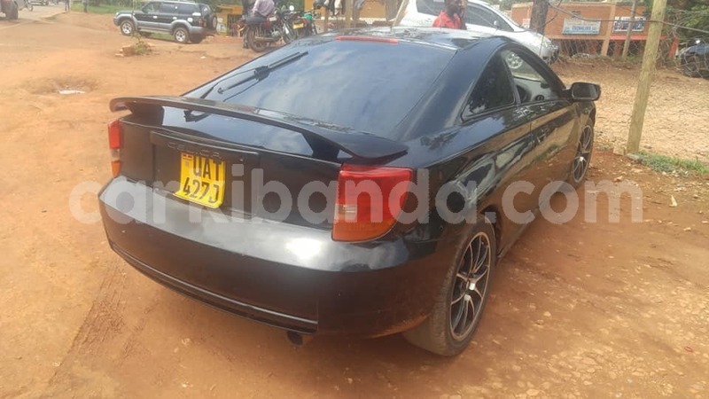 Big with watermark 50196240 266529207604431 8246487579420000256 n