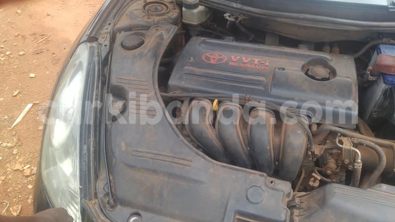 Big with watermark 49897958 266529187604433 5226300601603719168 n