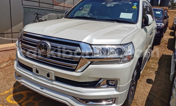Buy New Toyota Land Cruiser White Car in Kampala in Uganda Buy New Toyota Land Cruiser White Car in Kampala in Uganda