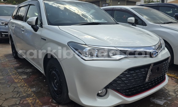 Buy New Toyota Fielder White Car in Kampala in Uganda