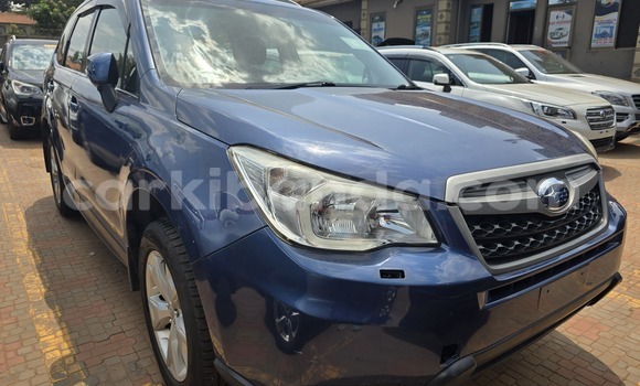 Buy New Subaru Forester Blue Car in Kampala in Uganda Buy New Subaru Forester Blue Car in Kampala in Uganda