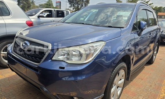 Buy New Subaru Forester Blue Car in Kampala in Uganda Buy New Subaru Forester Blue Car in Kampala in Uganda
