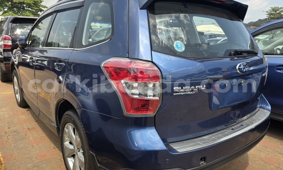 Buy New Subaru Forester Blue Car in Kampala in Uganda Buy New Subaru Forester Blue Car in Kampala in Uganda